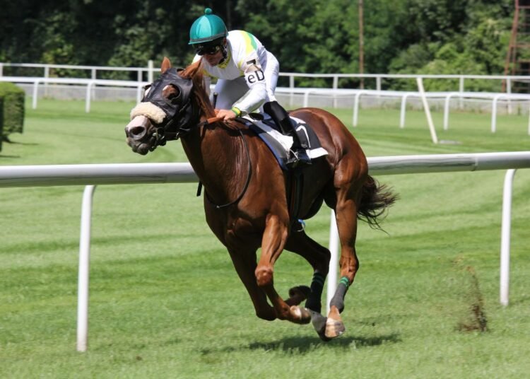 Is The Kentucky Derby The Biggest Horse Race In The World? Magazine USA