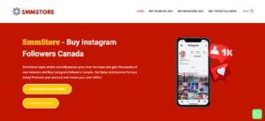 buying Instagram followers